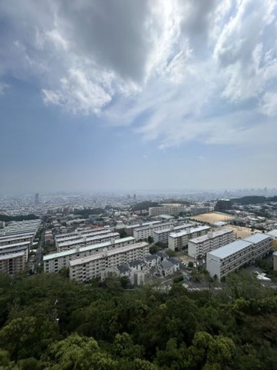 兵庫県神戸市灘区鶴甲5丁目(マンション)の賃貸物件のその他画像