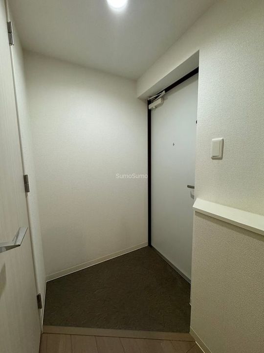 大阪府大阪市浪速区元町1丁目の賃貸マンションの玄関