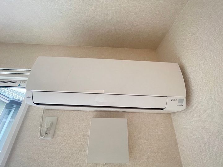 シンシア野沢のその他画像