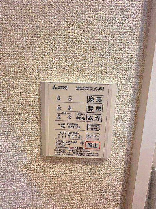 シンシア野沢のその他画像