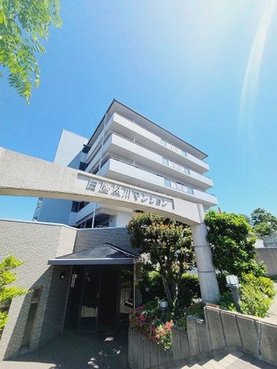 兵庫県西宮市松下町(マンション)の賃貸物件のその他画像