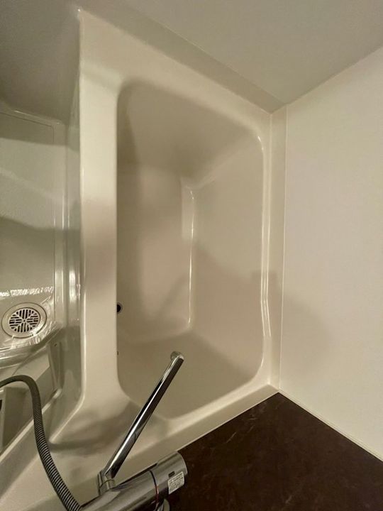 兵庫県神戸市中央区加納町3丁目(マンション)の賃貸物件の風呂