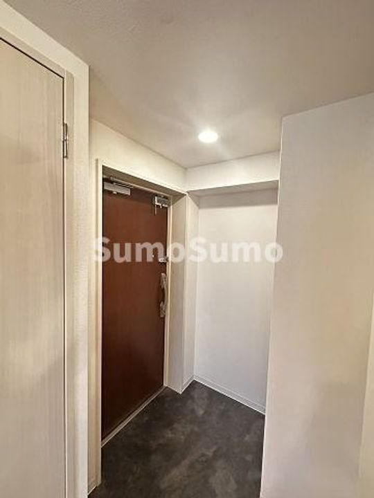 大阪府大阪市浪速区日本橋5丁目(マンション)の賃貸物件の玄関