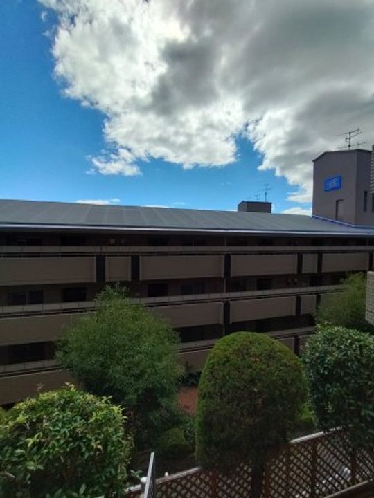 兵庫県神戸市灘区五毛通1丁目(マンション)の賃貸物件のその他画像