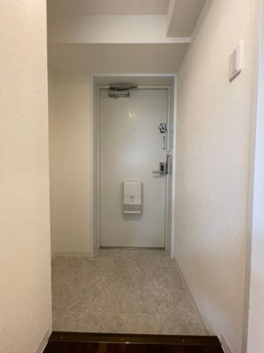 大阪府大阪市西区南堀江2丁目(マンション)の賃貸物件の玄関
