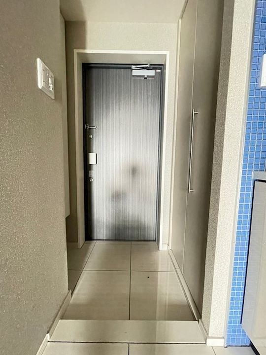大阪府大阪市西区北堀江2丁目(マンション)の賃貸物件の玄関