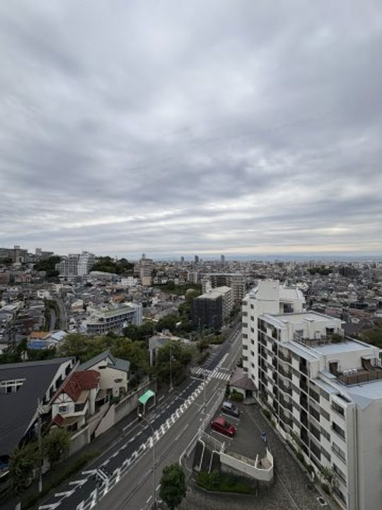 兵庫県神戸市長田区林山町(マンション)の賃貸物件のその他画像