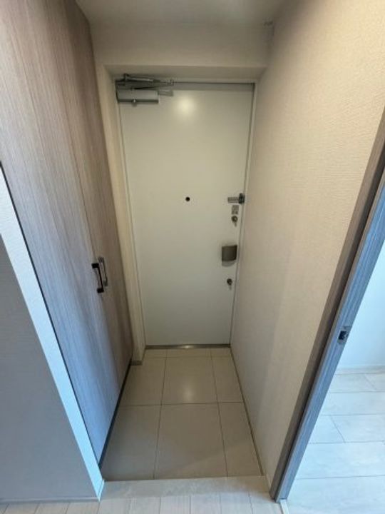 大阪府大阪市西区西本町1丁目(マンション)の賃貸物件の玄関