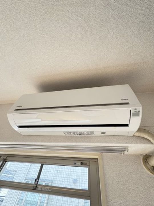 グランシャリオ王子のその他画像