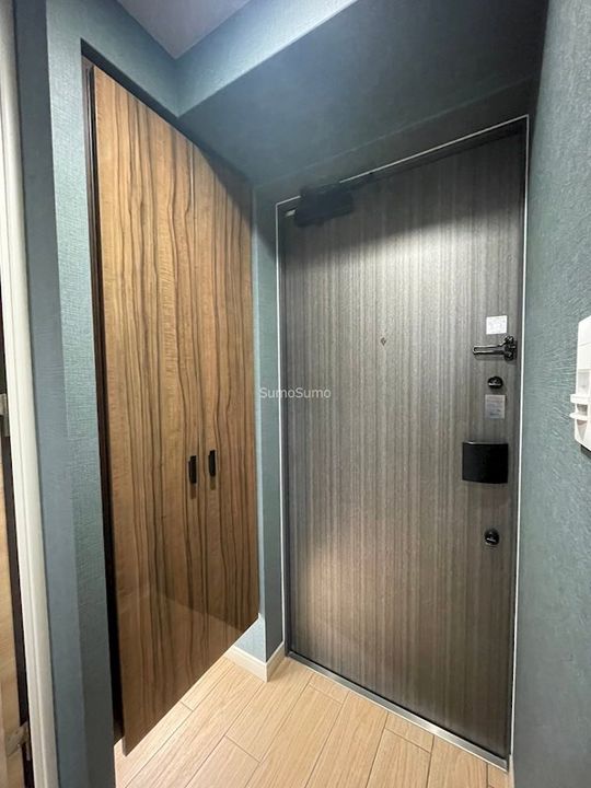 大阪府大阪市西区川口1丁目(マンション)の賃貸物件の玄関