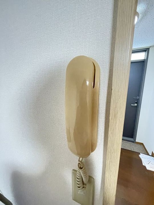 兵庫県西宮市堤町(アパート)の賃貸物件のその他画像