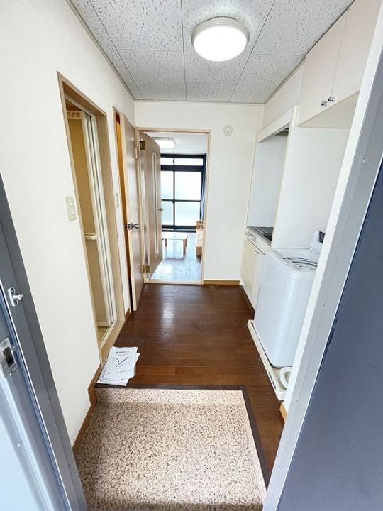 レオパレスツツミ28の玄関