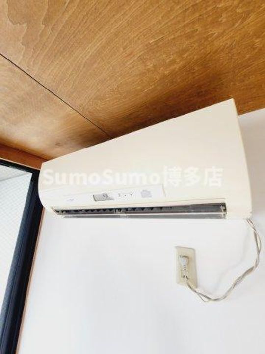 エオリアーナのその他画像