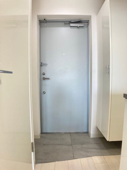 大阪府大阪市西区新町2丁目(マンション)の賃貸物件の玄関