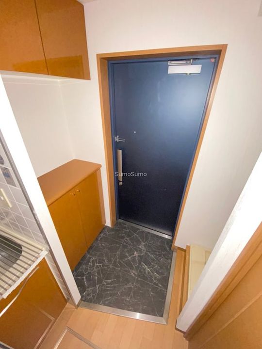 大阪府大阪市浪速区難波中3丁目(マンション)の賃貸物件の玄関