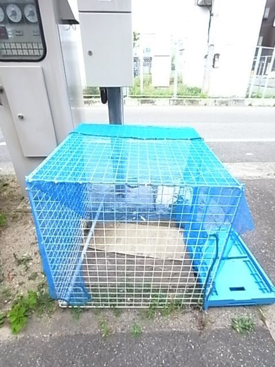 兵庫県西宮市上大市5丁目(アパート)の賃貸物件の外観