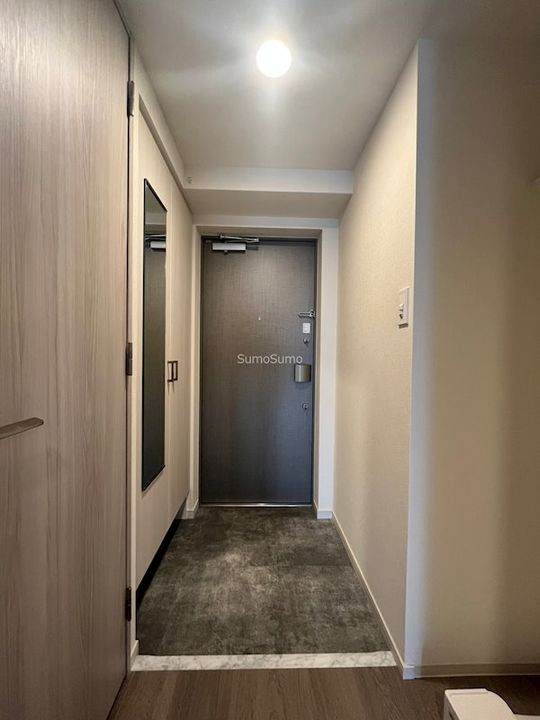 大阪府大阪市浪速区恵美須西1丁目(マンション)の賃貸物件の玄関