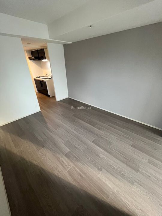 大阪府大阪市浪速区恵美須西1丁目(マンション)の賃貸物件の居間