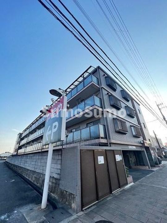 アルファの外観