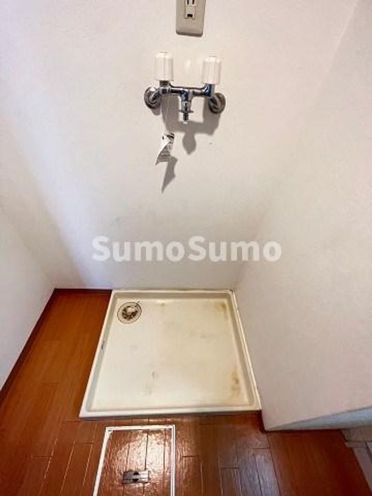 アルファのその他画像