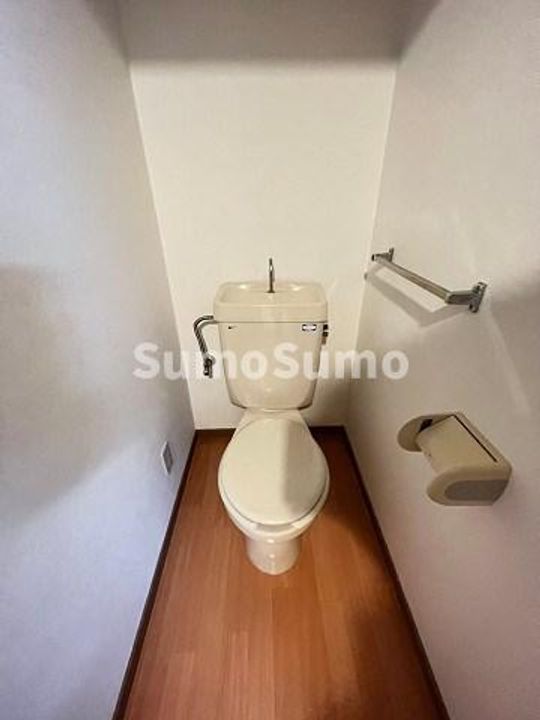 アルファのその他画像