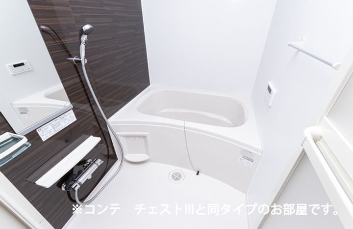 ヒカルサ深谷Iの風呂