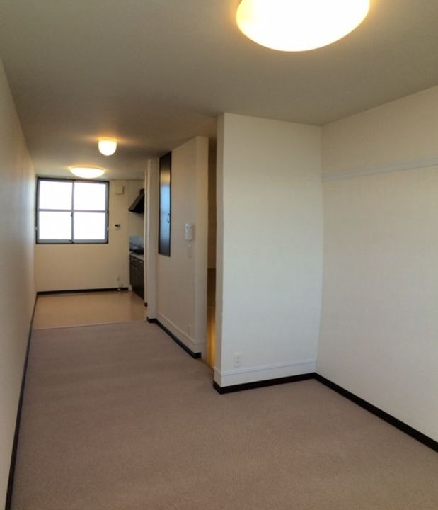 レオネクストレリーフのその他画像