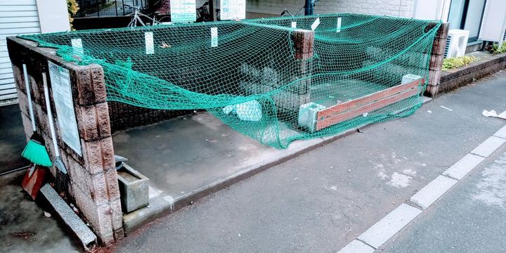 レオパレスラピスライトのその他画像