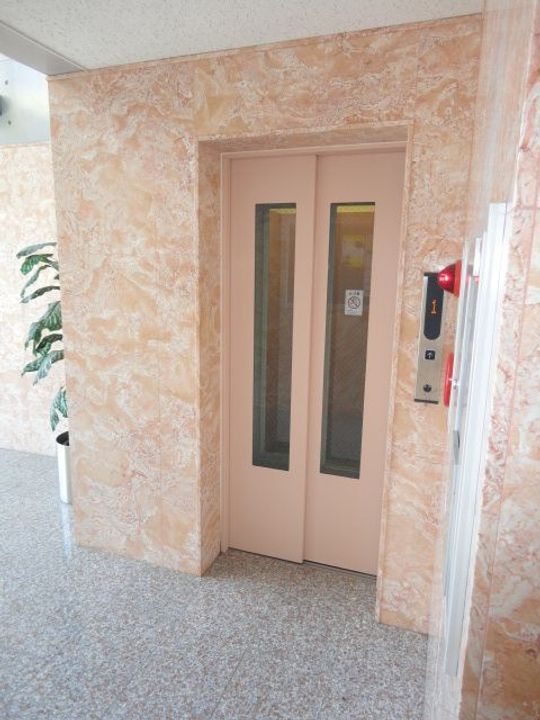 メルローズアソウのその他画像