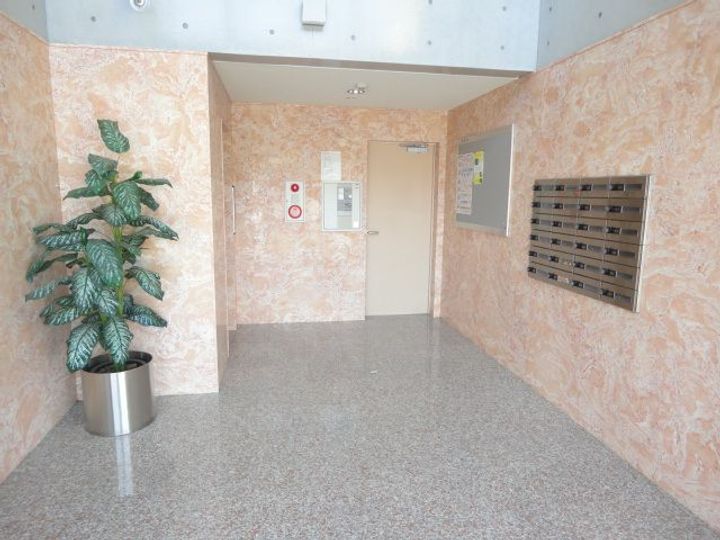 メルローズアソウのその他画像