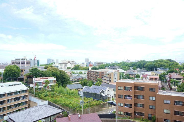 リード桜坂のその他画像