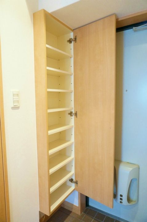 リード桜坂の玄関