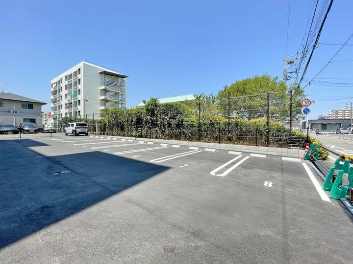 Alivis諸岡のその他画像