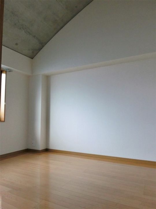 橋本ビル0301の内装