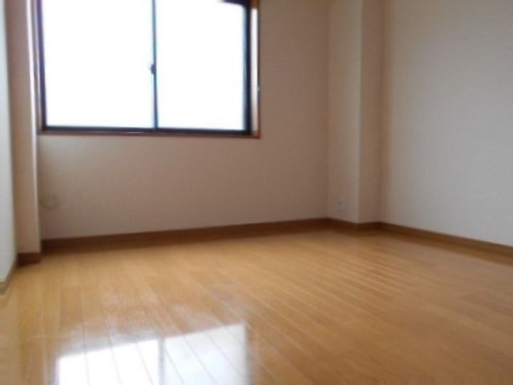 橋本ビル0301の内装