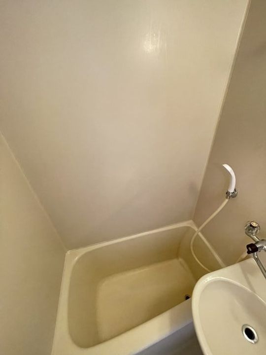 グリーンハウスNo8の風呂