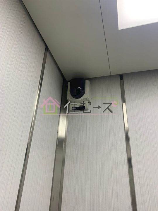 Navy.Bull IIのその他画像