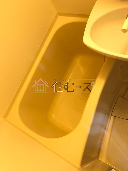 ノルデンハイム上新庄2の風呂