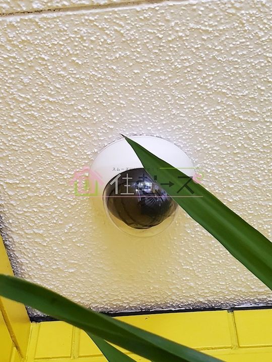 エレガンス5のその他画像