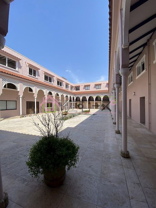 パラドール北加賀屋のその他画像