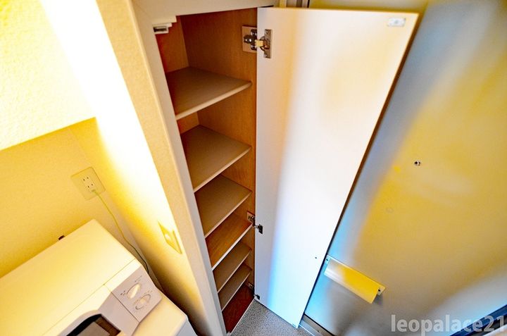 レオパレスプラムIの玄関