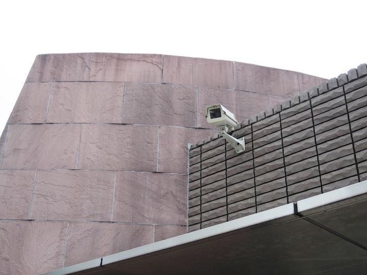 ウィステリアのその他画像