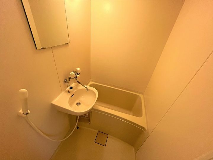 レオパレス上之郷の風呂