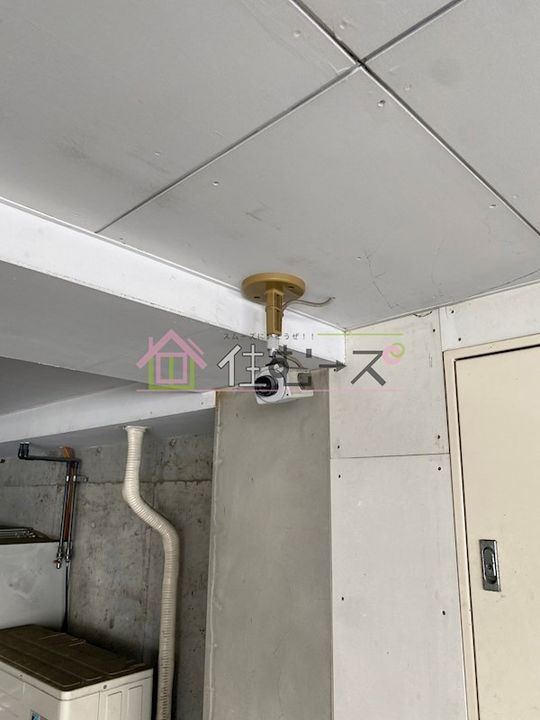 ペルソナIのその他画像