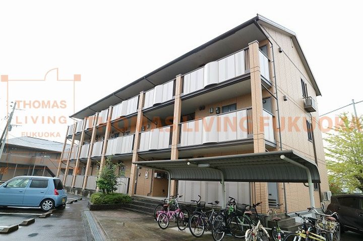 セイシェル大山B203の外観