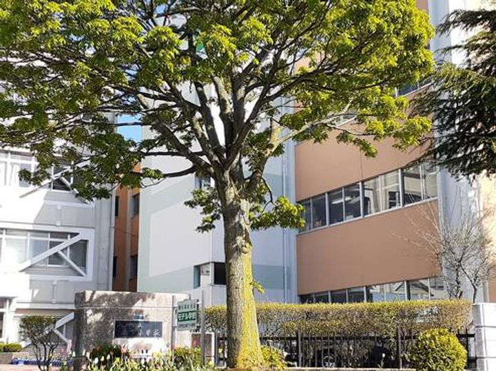 エミネントA201の周辺