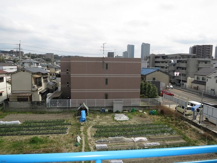 ジョイフルコーポ真上のその他画像