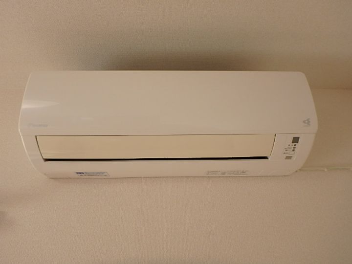 パープルKのその他画像