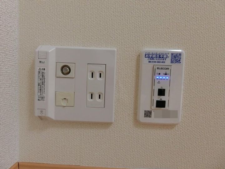 サンフラワーのその他画像