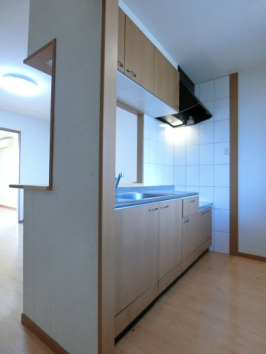 カーサ・オランジュ206のキッチン